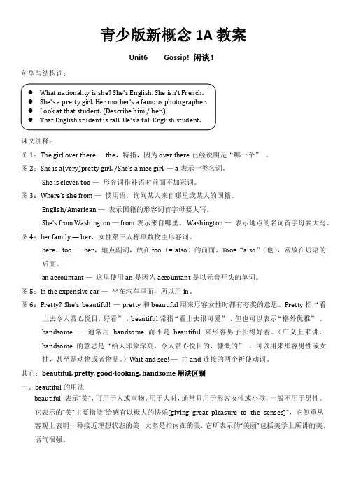 青少版新概念英语1A Unit 6 教案