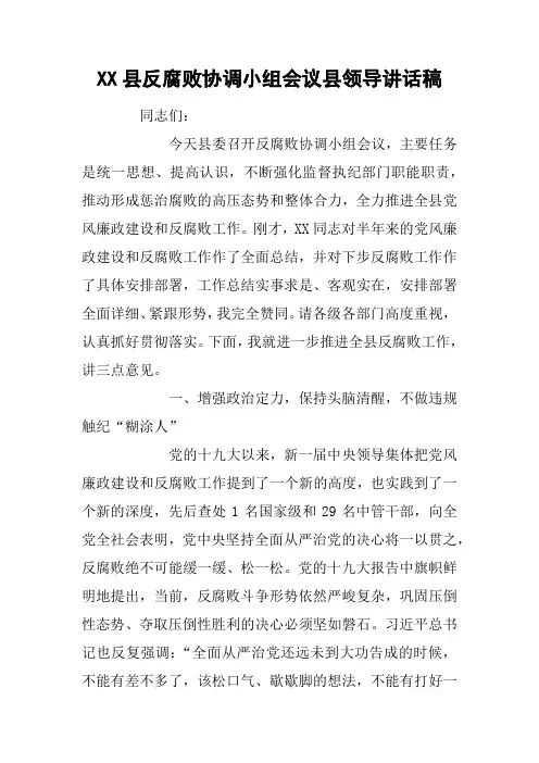 XX县反腐败协调小组会议县领导讲话稿