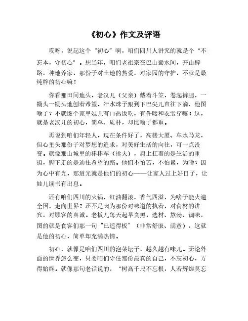 作文《初心》800字加评语