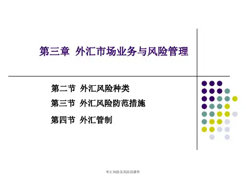 外汇风险及其防范课件