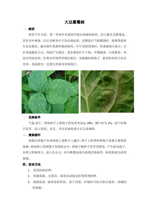 大豆病虫害——霜霉病