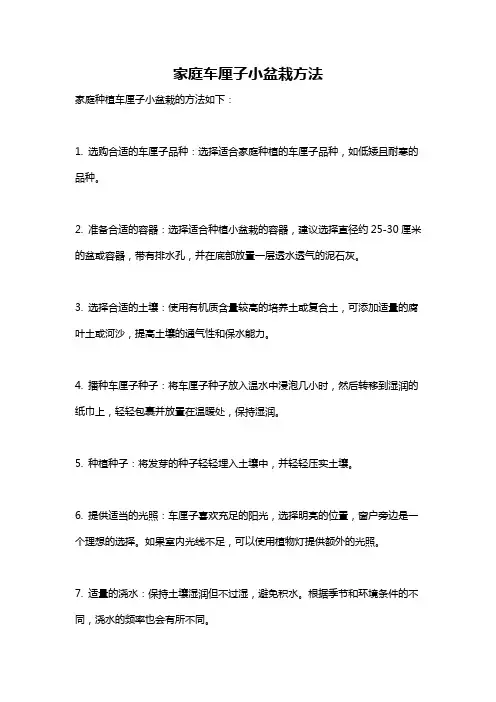 家庭车厘子小盆栽方法