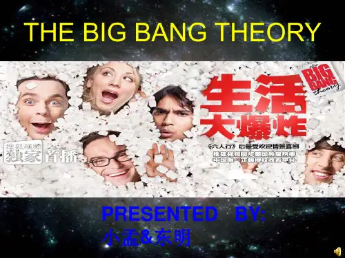 生活大爆炸ppt介绍精华版