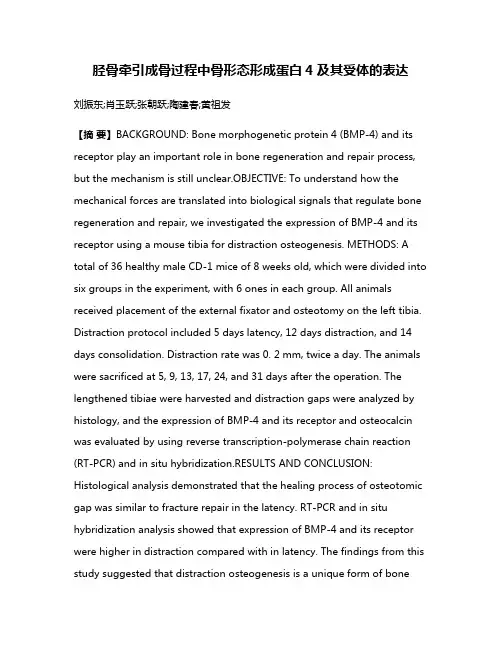 胫骨牵引成骨过程中骨形态形成蛋白4及其受体的表达