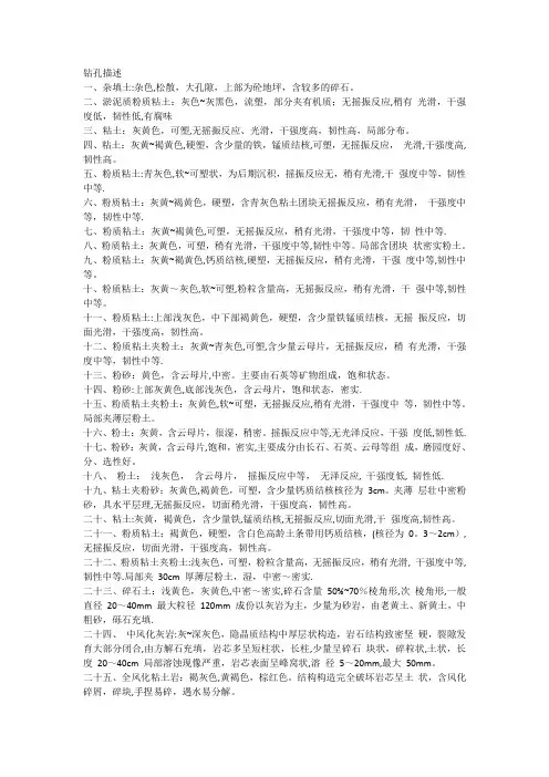 岩芯描述【范本模板】
