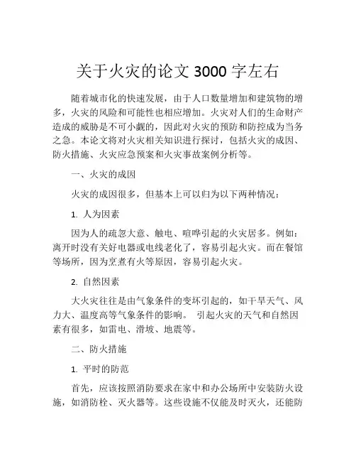 关于火灾的论文3000字左右