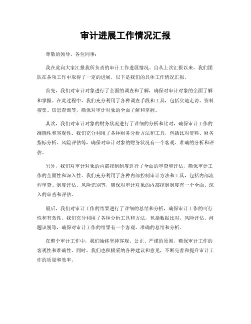 审计进展工作情况汇报