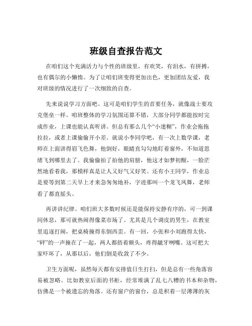 班级自查报告范文