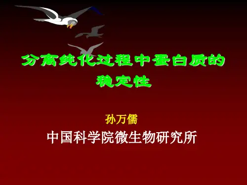 蛋白稳定性2
