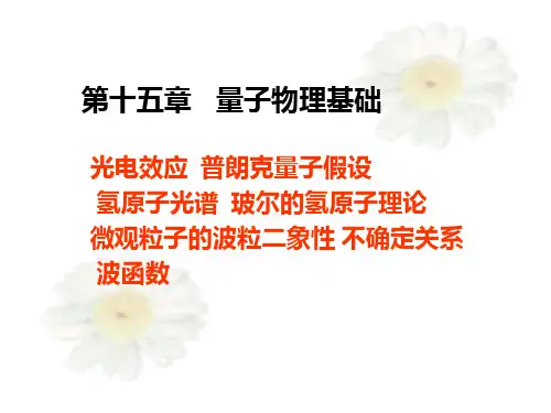 大学物理量子物理基础(stone)