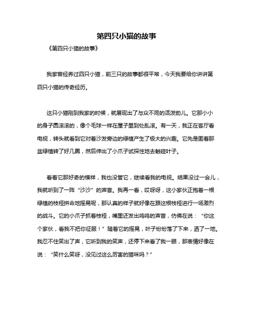第四只小猫的故事