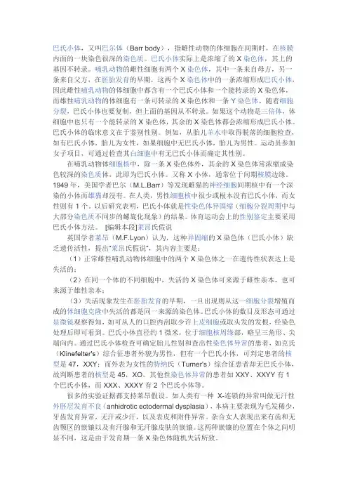 巴氏小体