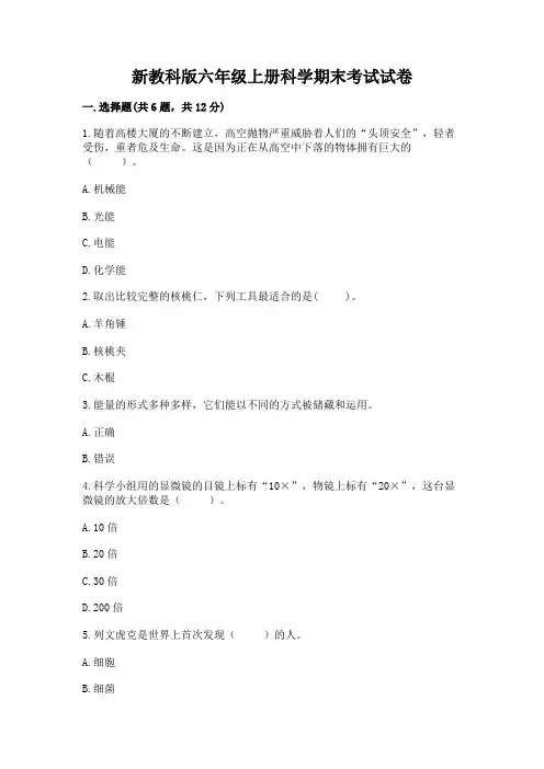 新教科版六年级上册科学期末考试试卷附答案【基础题】