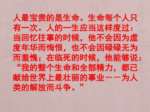 钢铁是怎样炼成的ppt课件
