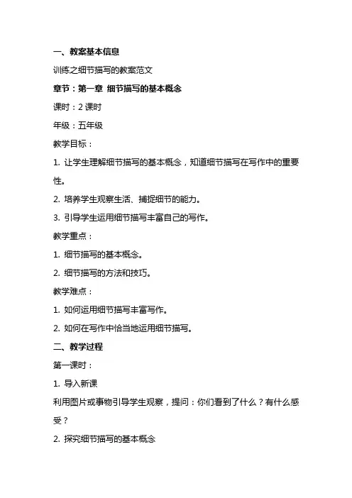 训练之细节描写的教案范文