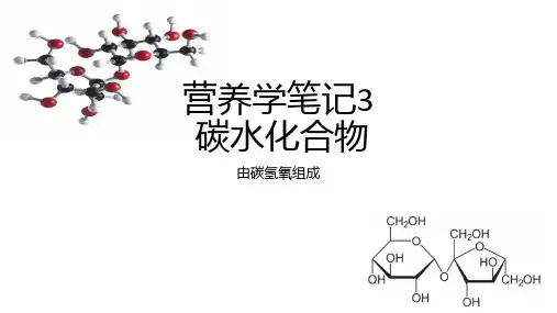 营养学笔记3碳水化合物