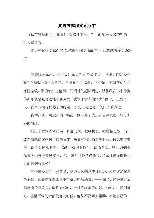走进苏轼作文800字_一目斋