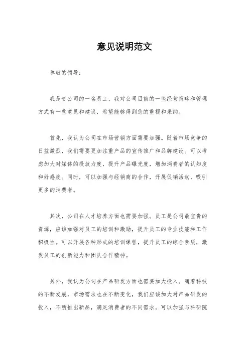 意见说明范文
