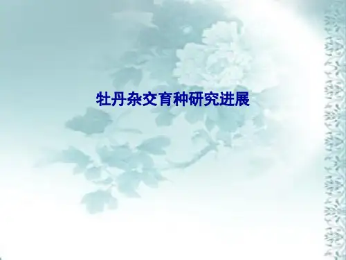 牡丹杂交育种文献综述汇报PPT