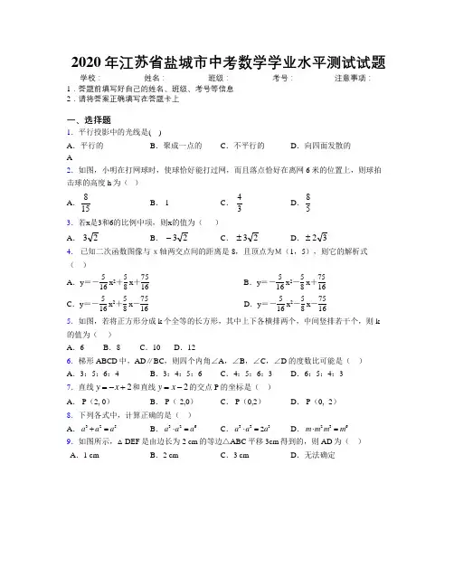 2020年江苏省盐城市中考数学学业水平测试试题附解析