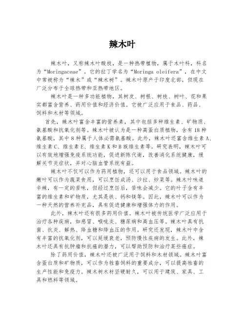 辣木叶  