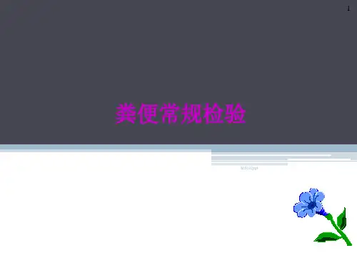 粪便检验PPT课件