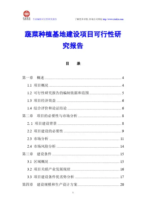 蔬菜种植基地建设项目可行性研究报告