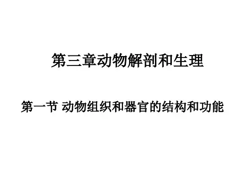 第生物竞赛培训教程-三章动物解剖和生理第一节动物组织和器官的结构和功能