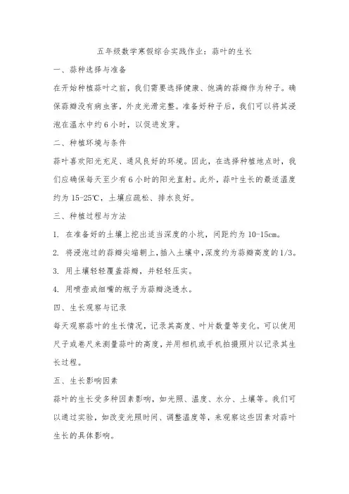 五年级数学寒假综合实践作业 蒜叶的生长