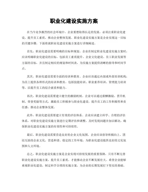职业化建设实施方案
