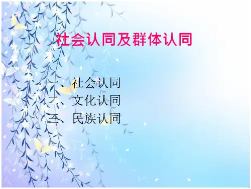 社会认同及群体认同1教案