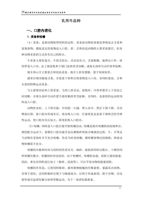 消化系统的生理功能及其影响因素物理性消化.