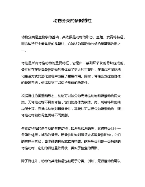 动物分类的依据脊柱