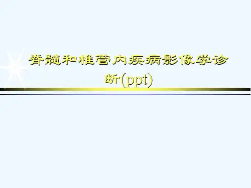 脊髓和椎管内疾病影像学诊断(ppt)