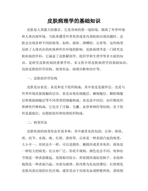 皮肤病理学的基础知识