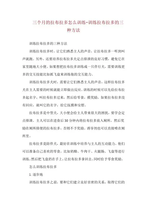 三个月的拉布拉多怎么训练-训练拉布拉多的三种方法