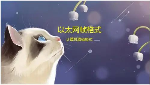 以太网帧格式(12页)