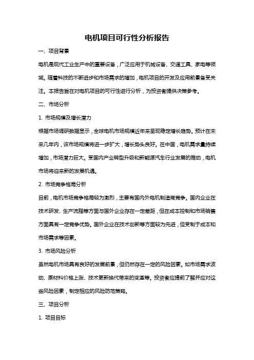 电机项目可行性分析报告
