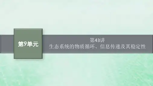 适用于新教材2024版高考生物一轮总复习第9单元生物与环境第43讲生态系统的物质循环信息传递及其稳定