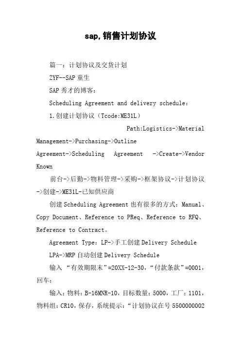 sap,销售计划协议[工作范文]