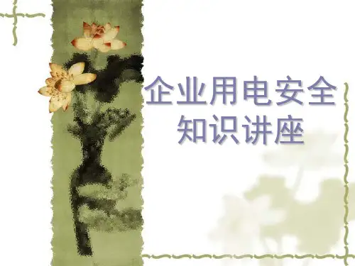 企业用电安全知识讲座培训