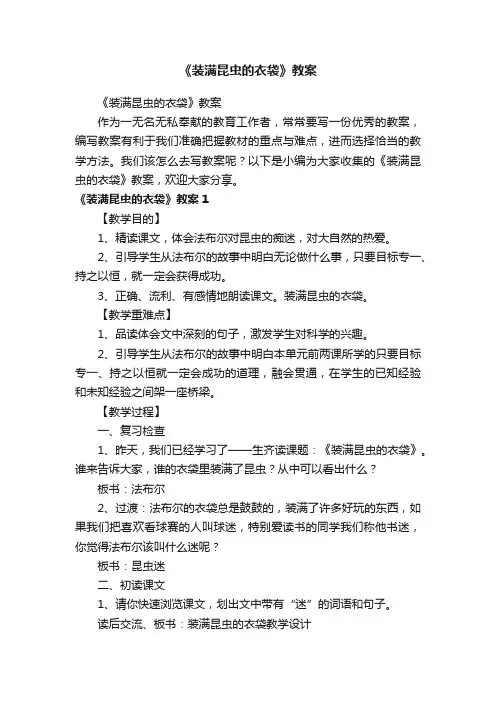 《装满昆虫的衣袋》教案