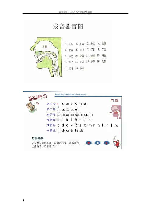 英语国际音标发音口型舌位一览表