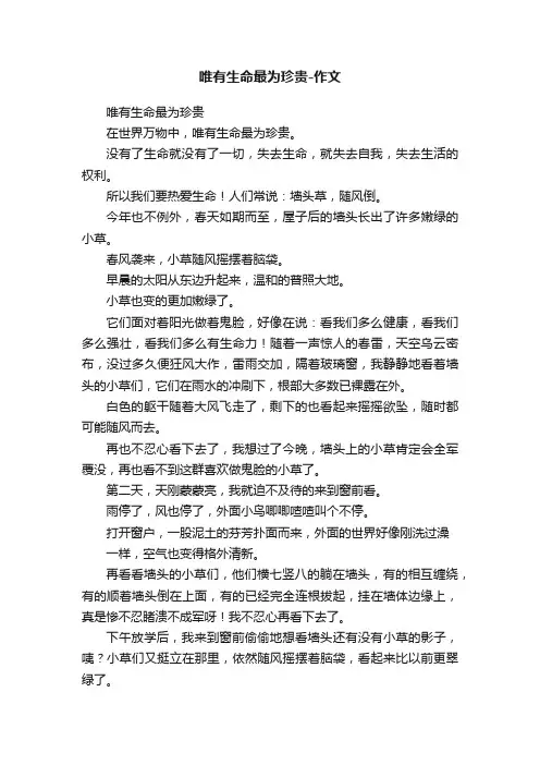 唯有生命最为珍贵-作文