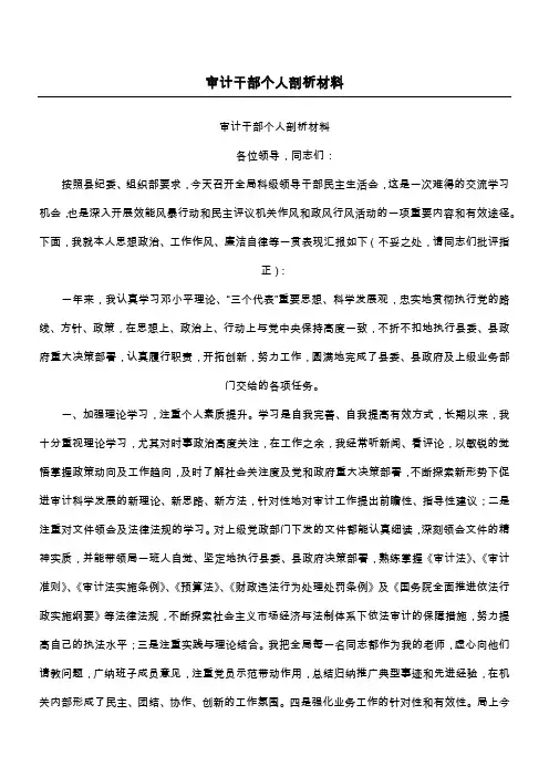 审计干部个人剖析材料