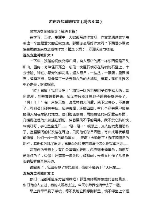 游东方盐湖城作文（精选6篇）