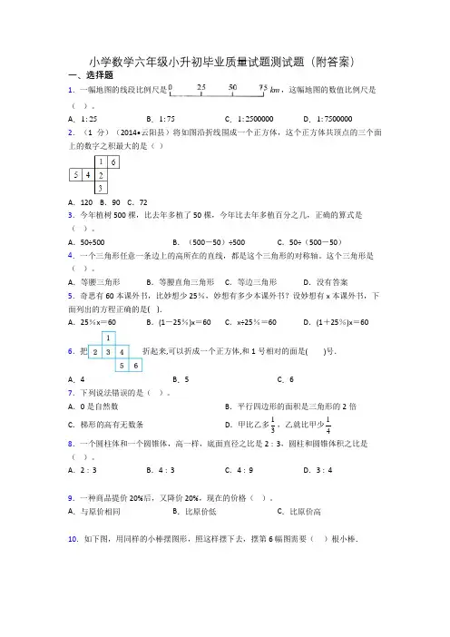 小学数学六年级小升初毕业质量试题测试题(附答案)