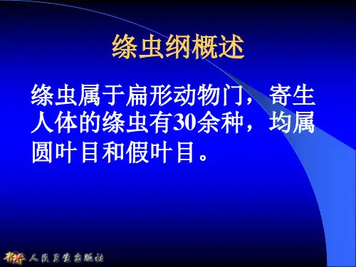 猪带绦虫和牛带绦虫课件