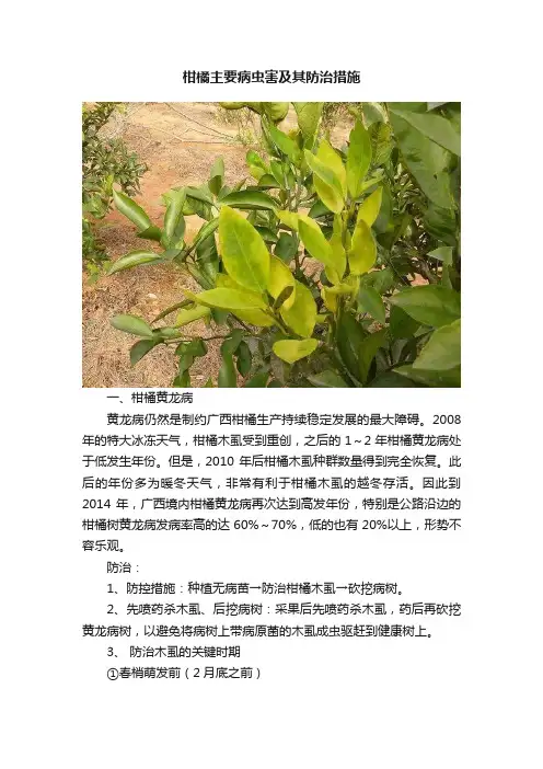 柑橘主要病虫害及其防治措施