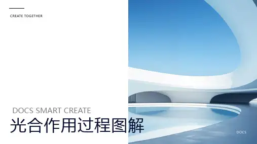 光合作用过程图